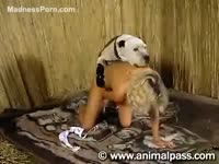 Brazen blond pervert is getting wildly fucked by her sister&#039;s dog